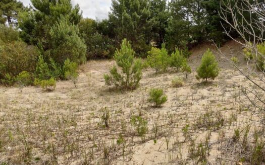 Terreno en Venta en Northbeach – Santa bárbara 72, NORTHBEACH