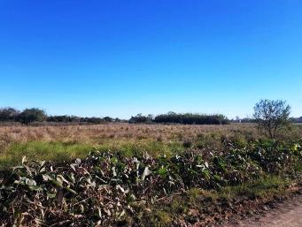 ID 12685 – / Terreno – COLONIA CRESPO SANTA FE J.B. Alberdi e/t JUAN DIAZ SOLIS y AV. B. MITRE – RECREO – STA. FE
