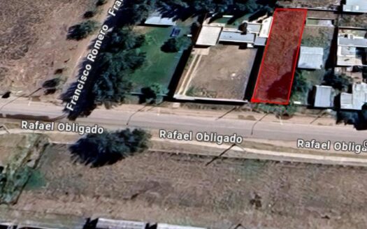 ID 13308 Lote / GRUNBEIN Rafael Obligado (Ex-Ruta Prov. N° 229) (e) F. Romero y A. Alice BAHIA BLANCA – BUENOS AIRES
